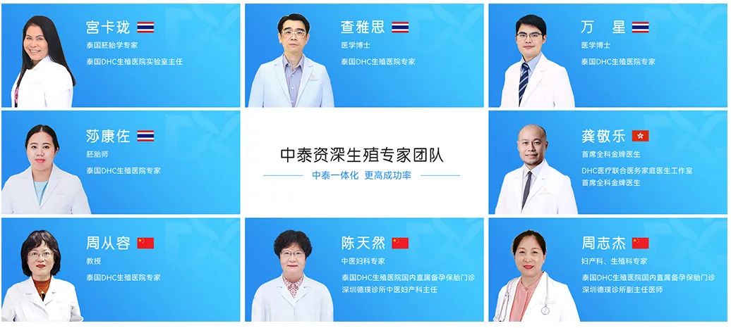 醫(yī)生陣容 醫(yī)生陣容