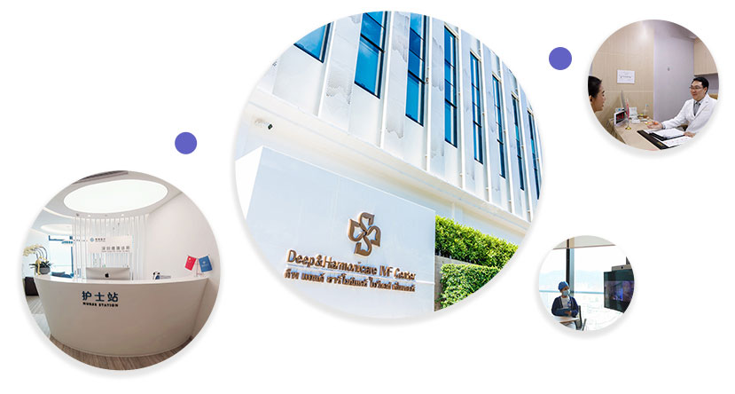 全球布局1 全球布局1