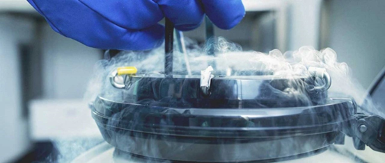 泰國試管嬰兒冷凍卵子