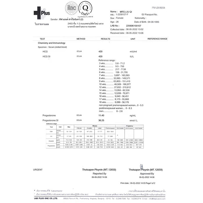 檢查報告 檢查報告