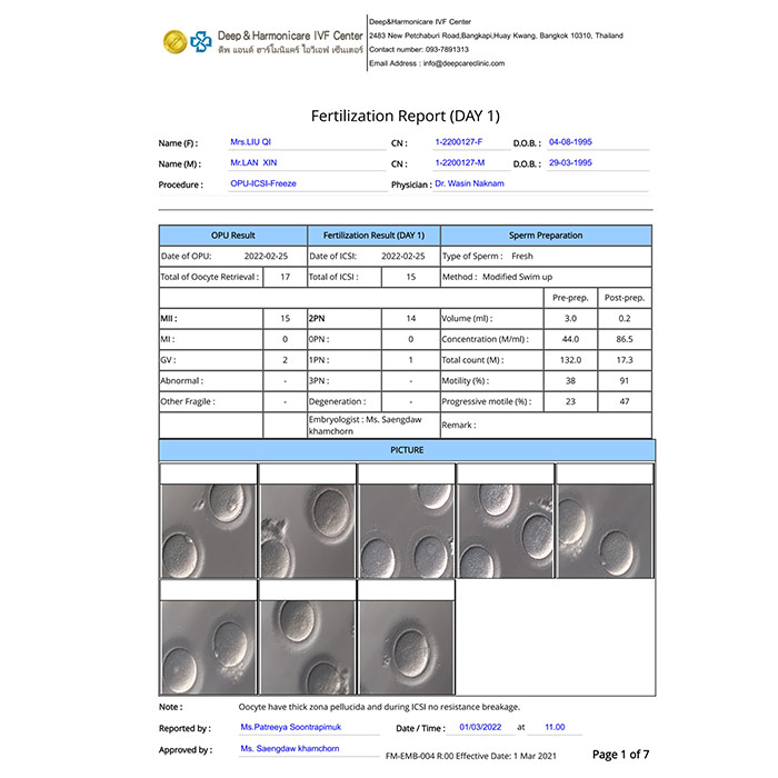 胚胎報告 胚胎報告