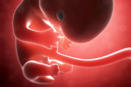 HIV患者去做泰國試管嬰兒一樣能擁有寶寶