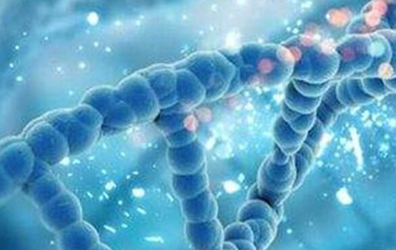 第三代泰國試管技術有什么效果移植過后有不適怎么辦？