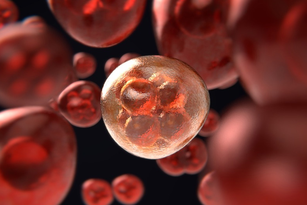 超雄綜合癥是否有暴力傾向？超雄綜合癥一定是壞人嗎？