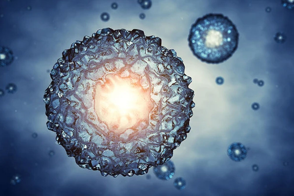 第三代試管嬰兒過程中嵌合體胚胎可以移植嗎？