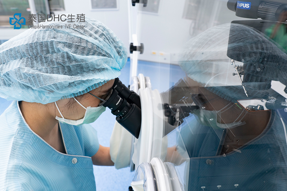 泰國(guó)試管嬰兒前期身體檢查對(duì)成功率有哪些影響？