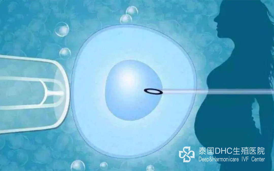 泰國DHC：走進(jìn)泰國第三代試管嬰兒世界