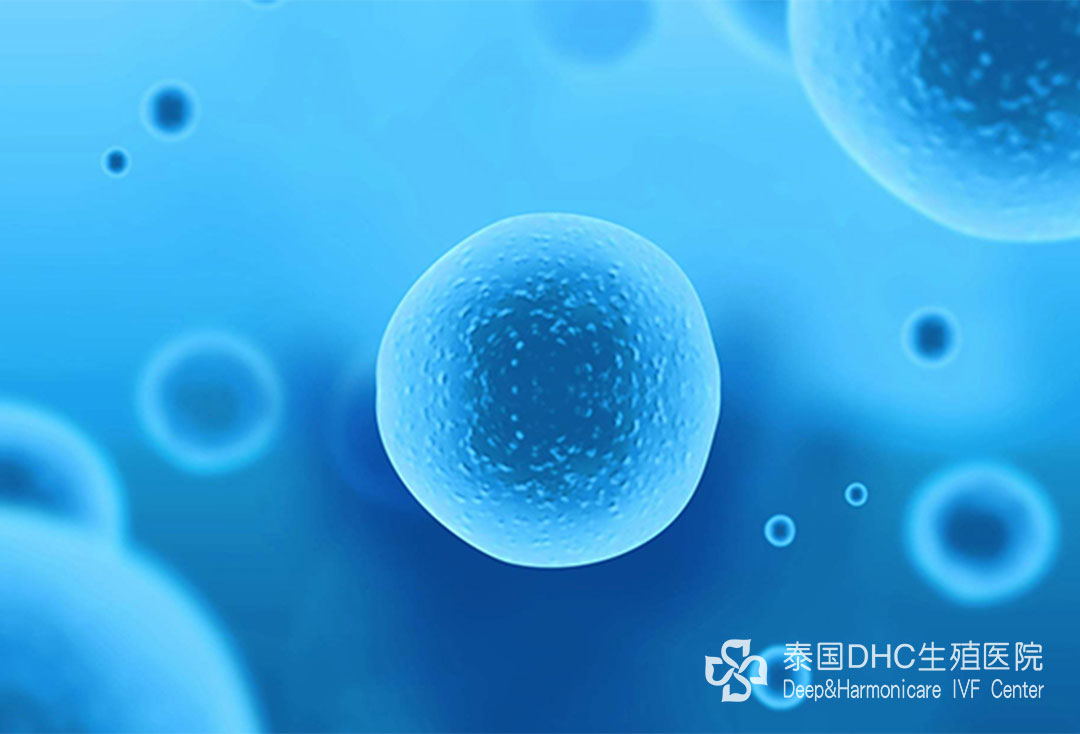 配圖 (99) 配圖 (99)