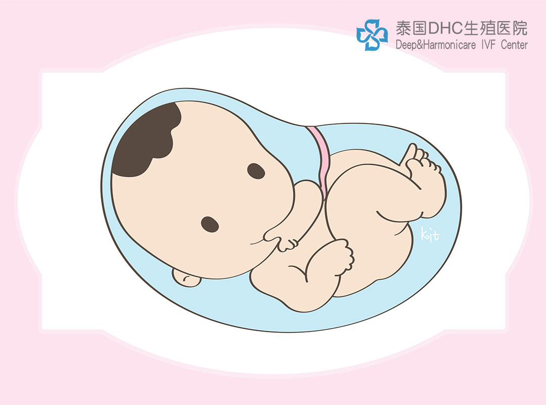 泰國(guó)DHC：去泰國(guó)試管好嗎？去泰國(guó)試管懷孕的費(fèi)用與注意事項(xiàng)
