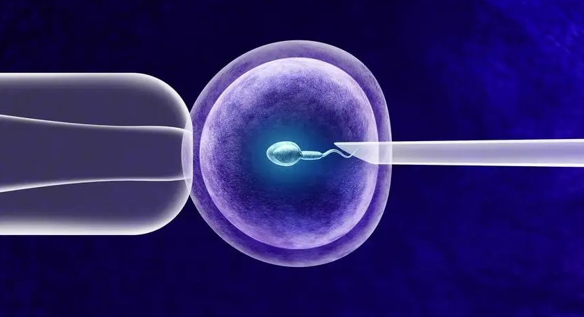 試管嬰兒一次可以移植幾枚胚胎？試管嬰兒一次移植幾個胚胎合適