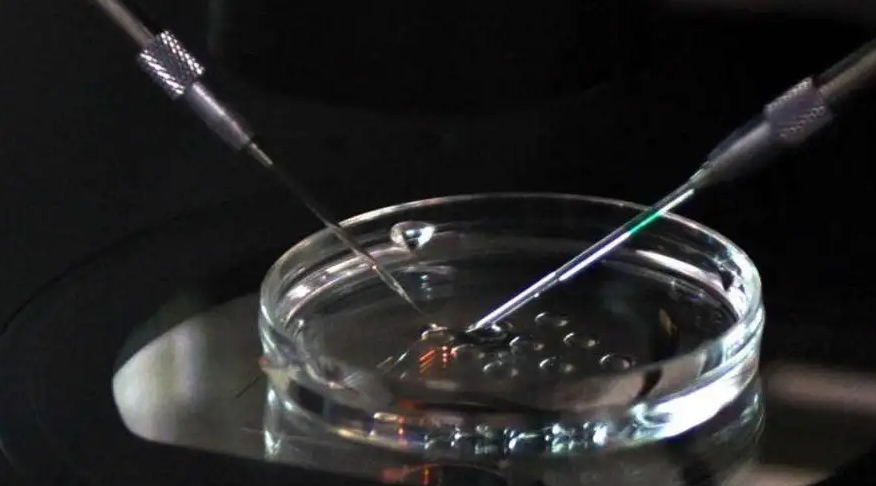 試管嬰兒胚胎移植不著床怎么辦？移植不著床的最大原因