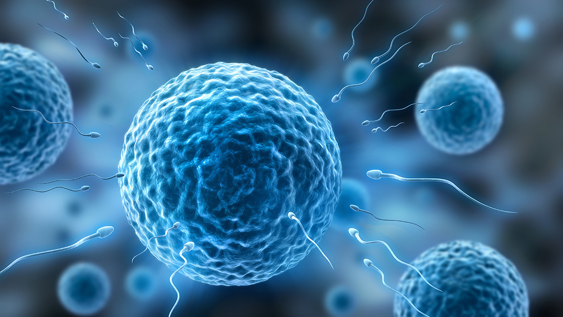 試管嬰兒能否避免基因缺陷？試管基因檢測的作用和意義