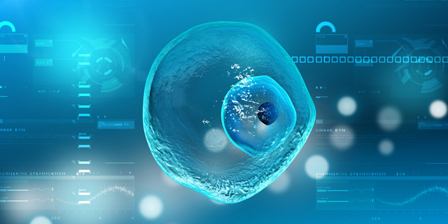 長方案還是短方案好？試管嬰兒長方案和短方案的優(yōu)缺點(diǎn)