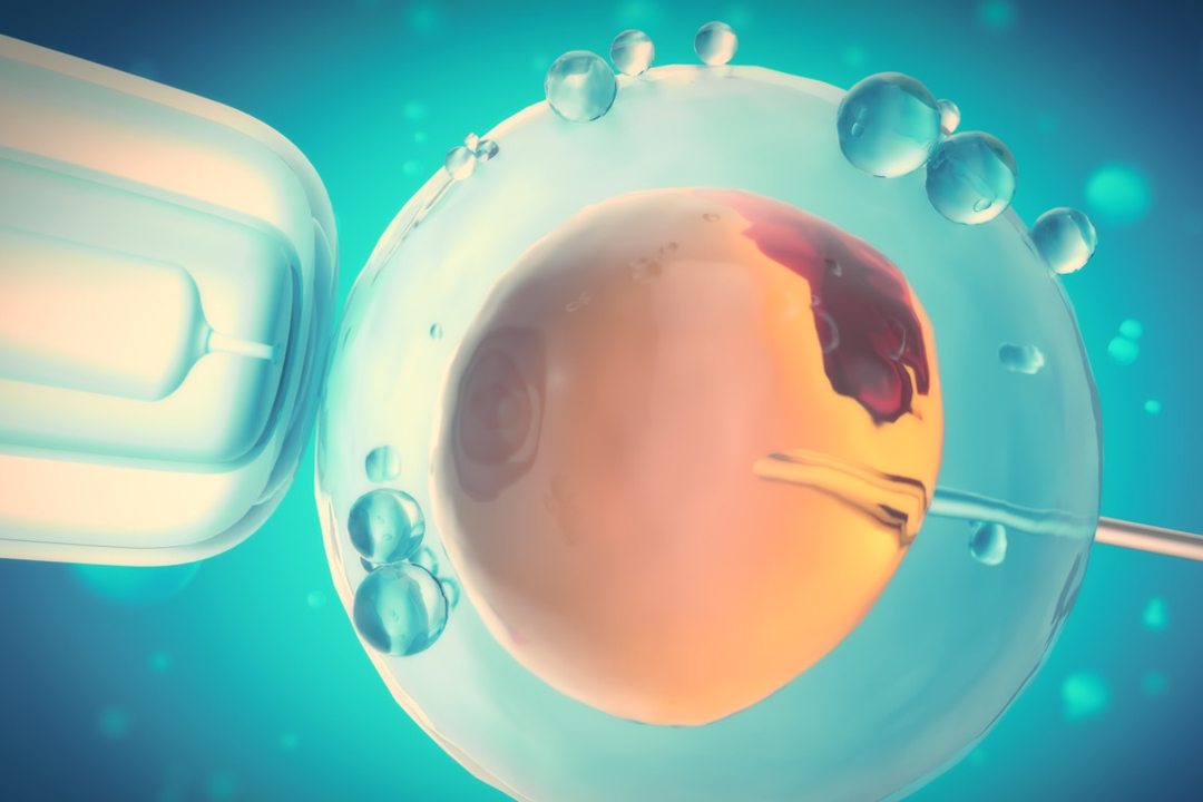 試管嬰兒技術(shù)