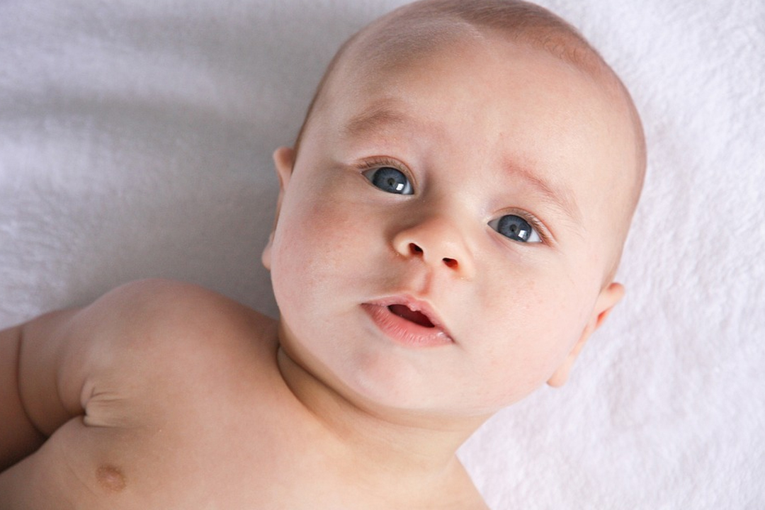 試管寶寶的凝視 試管寶寶的凝視