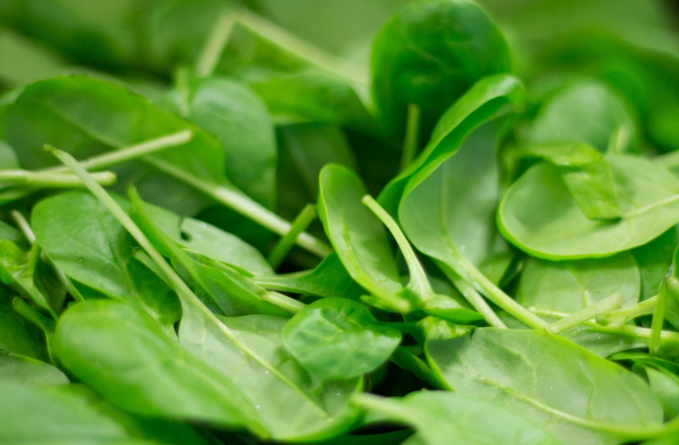 AMH值低吃什么補(bǔ)得快？AMH值低吃什么食物提高