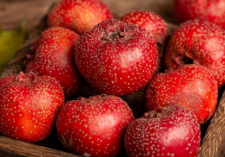 孕婦不能吃的水果有哪些？孕婦禁吃十大水果