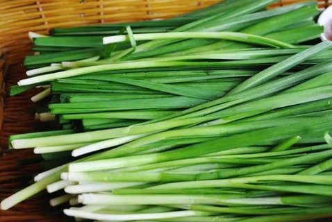 韭菜哪些人群不可以吃？韭菜的禁忌和功效