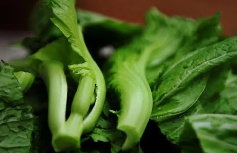 芥菜哪些人不能吃？芥菜的禁忌和最佳搭配