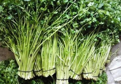 水芹哪些人不能吃？水芹不能和什么菜一起食用？