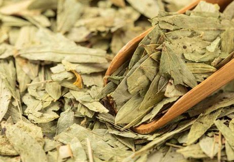 番瀉葉減肥有效果嗎？番瀉葉減肥的正確服用方法