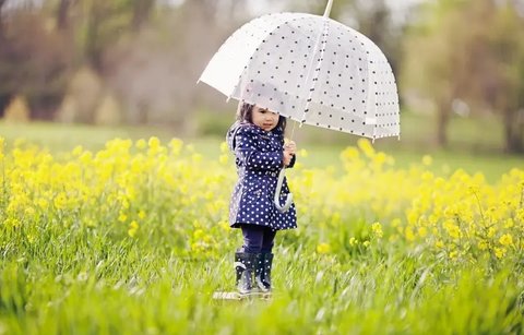 微信截圖_20240124162212_480x320