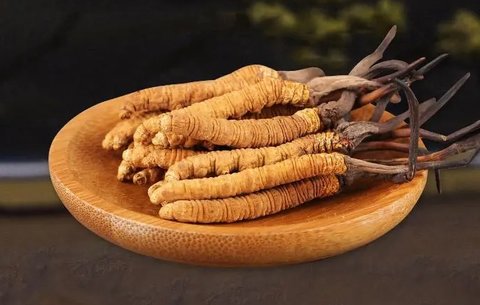 微信截圖_20240126142609_480x320 微信截圖_20240126142609_480x320