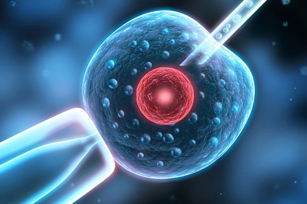 一方有遺傳病能做上三代試管嗎？