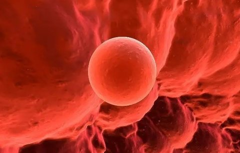 提高試管著床的秘訣！試管著床7個(gè)小妙招