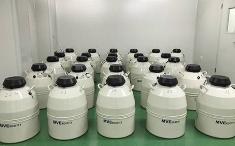 凍胚胎和凍卵哪個好？凍胚胎和凍卵的區(qū)別