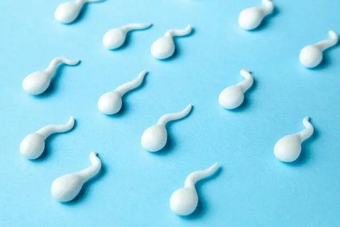 精子畸形率高可以治療嗎？改善精子質(zhì)量的方法