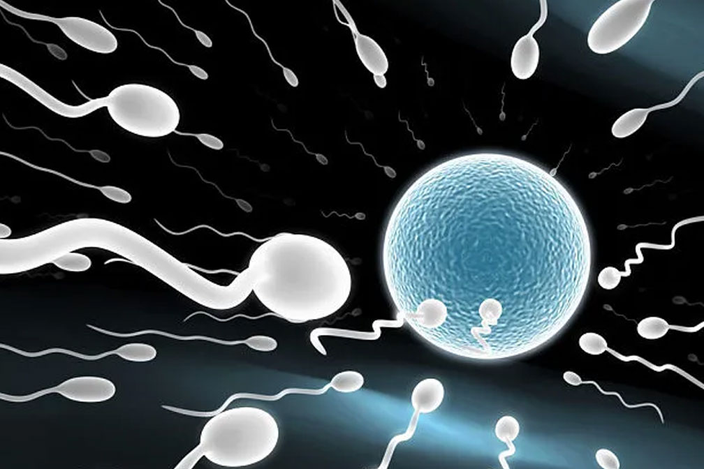 逆行射精對懷孕有影響嗎？逆行射精對懷孕的影響