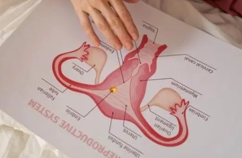 雙角子宮能正常生育嗎？雙角子宮對(duì)懷孕的影響
