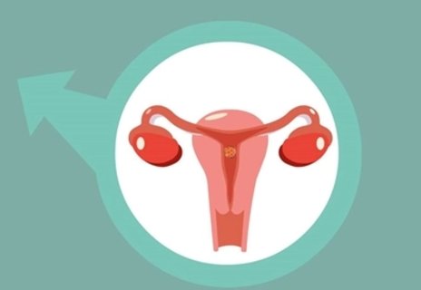 卵巢功能下降了還可以調(diào)回來嗎？卵巢功能下降如何恢復(fù)正常？