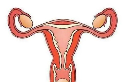 子宮內(nèi)膜異位癥對試管移植有影響嗎？