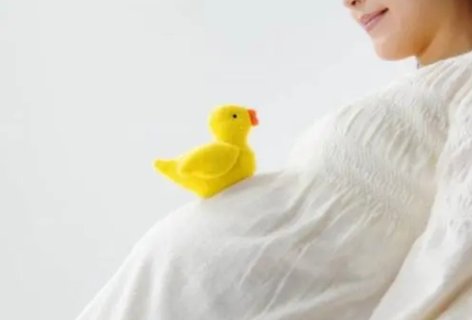 試管嬰兒全流程費(fèi)用解析：2024年詳細(xì)價(jià)格指南