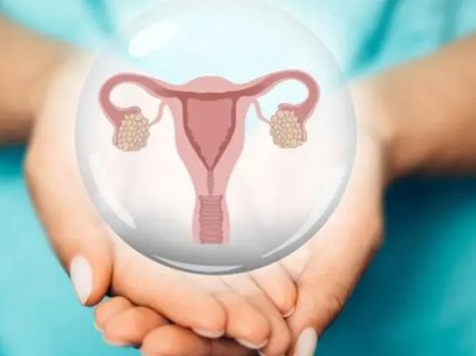 卵巢早衰適合做幾代試管？