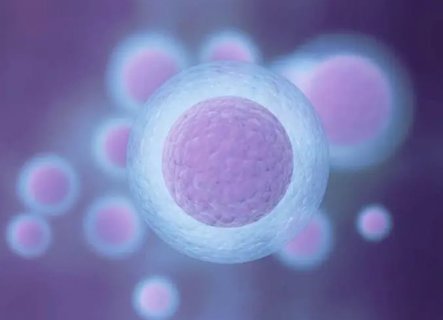 試管第二次成功率比第一次高嗎？二次試管成功率解析