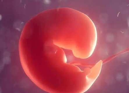 孕囊大小和孕周有關(guān)系嗎？孕囊大小與孕周對(duì)照表