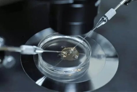 做試管是男的不行還是女的不行？