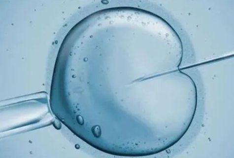 做二代試管是男女哪方有問題？做二代試管的主要原因