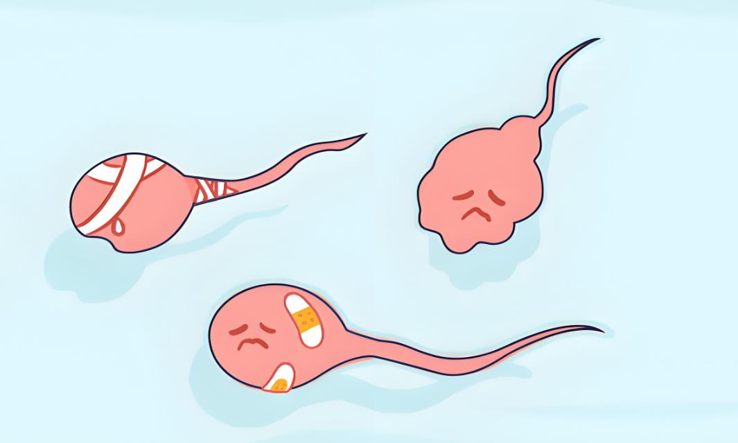 精子活力低做試管二代會胎停嗎,精子活力低做試管如何避免胎停