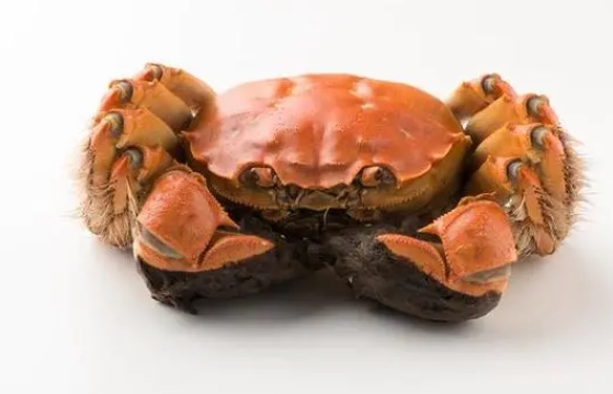 孕早期吃啥容易流產(chǎn)？孕初期容易導(dǎo)致流產(chǎn)的食物