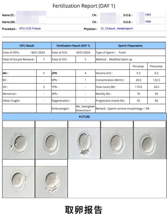 取卵報(bào)告 取卵報(bào)告