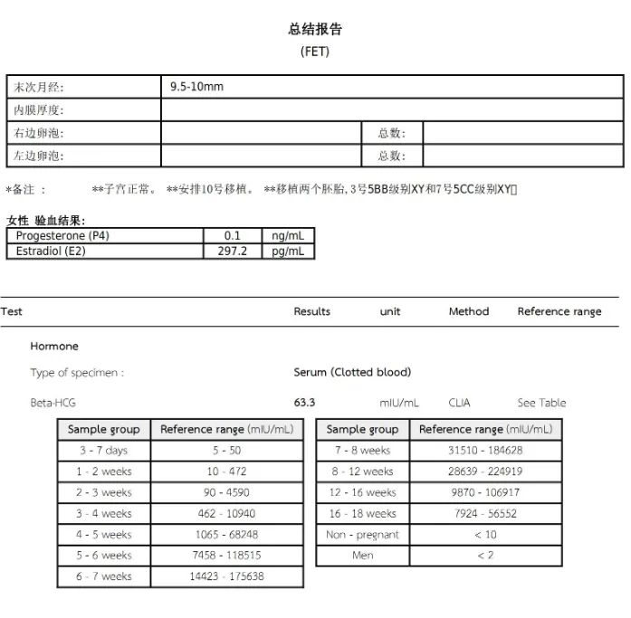 總結報告 總結報告