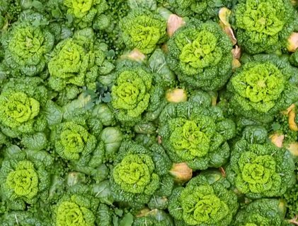 備孕期間男人吃什么補(bǔ)精？男性備孕營(yíng)養(yǎng)攻略