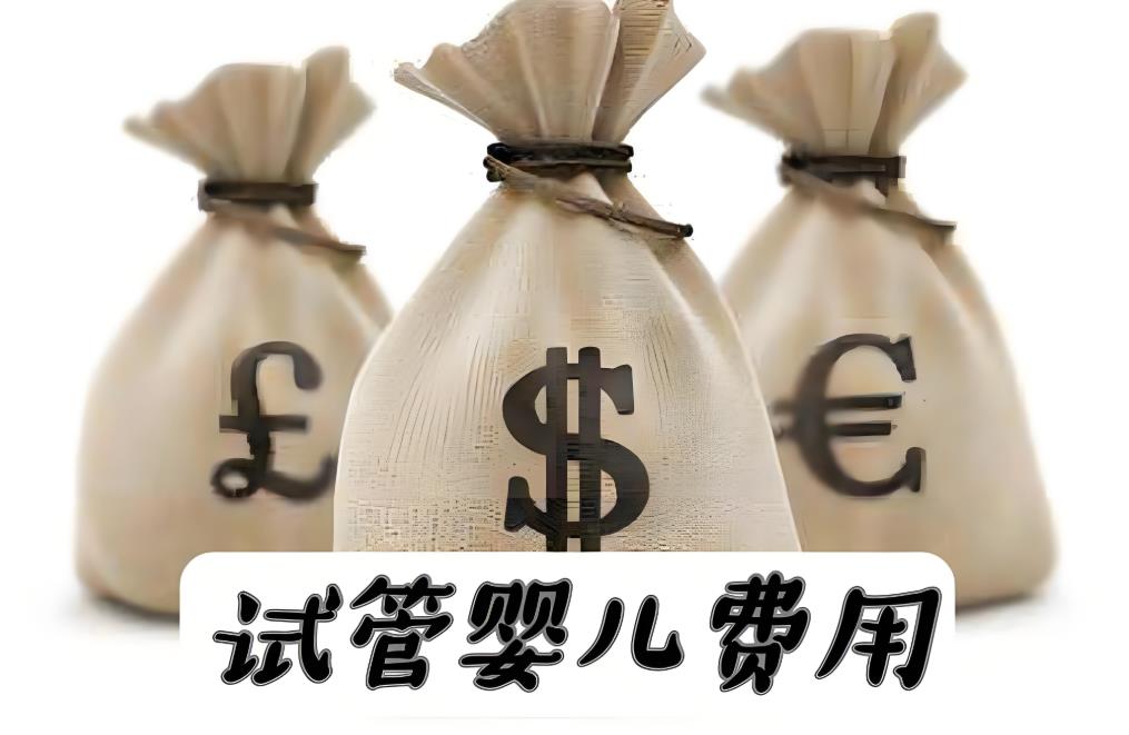 試管費用 試管費用