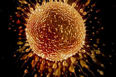 中山大學(xué)附屬第一醫(yī)院試管嬰兒：費(fèi)用概覽與技術(shù)優(yōu)勢(shì)