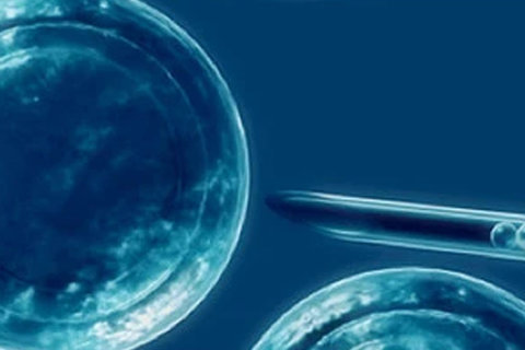 深圳市人民醫(yī)院試管嬰兒：成功率與費(fèi)用全面解讀