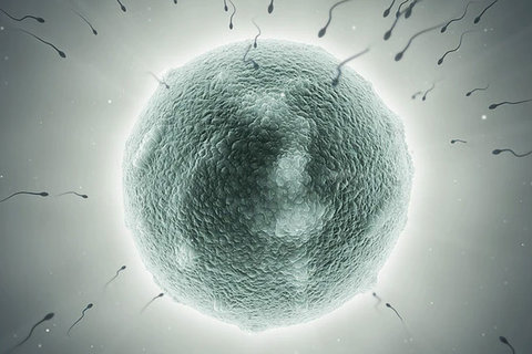 深圳市婦幼保健院做試管嬰兒多少錢？費(fèi)用一覽2025